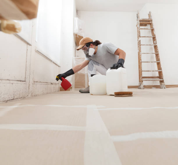 Best Water Damage & Mold Remediation  in Colstrip, MT